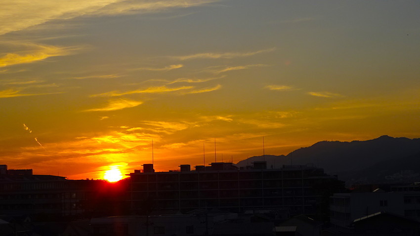f:id:shioshiohida:20181015171922j:plain f:id:shioshiohida:20181015171922j:plain