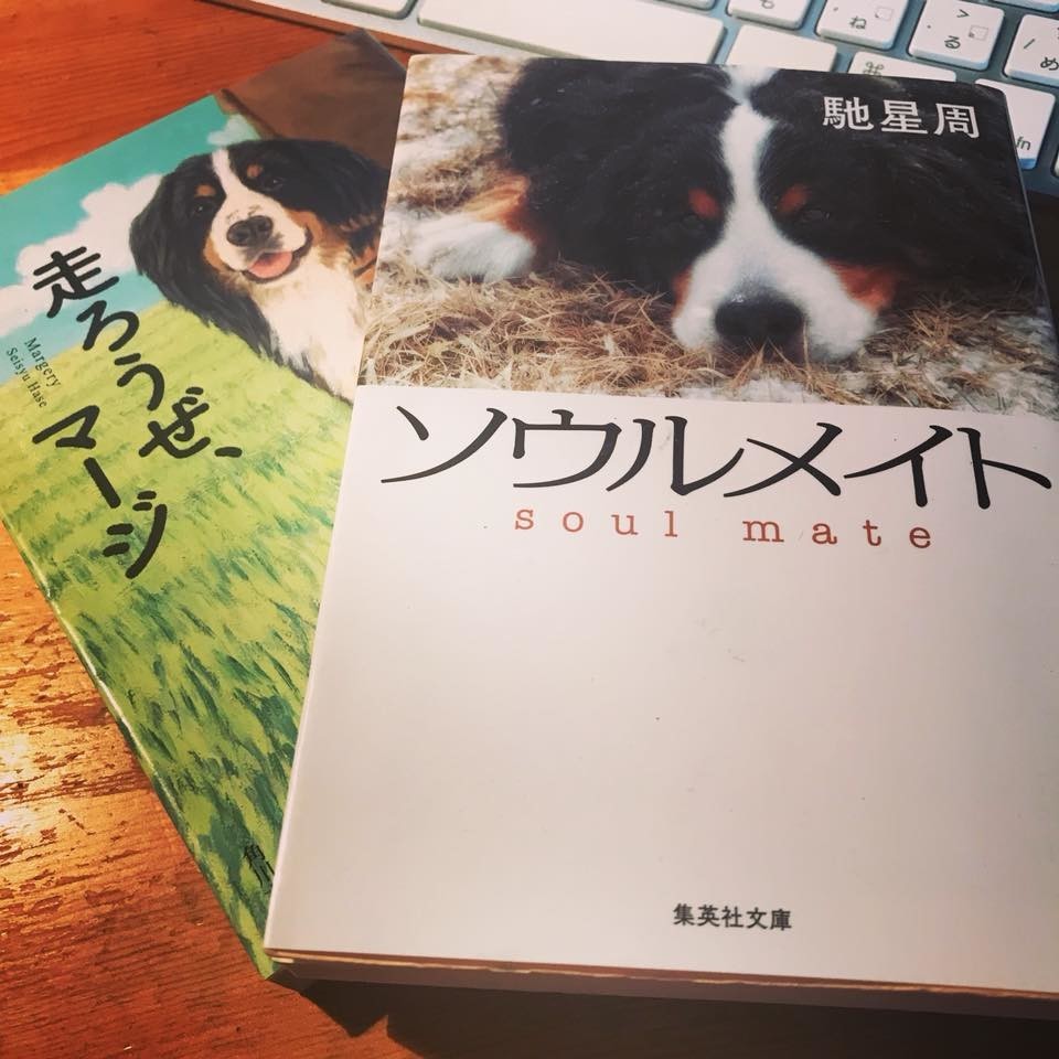 f:id:shioshiohida:20181017131203j:plain f:id:shioshiohida:20181017131203j:plain