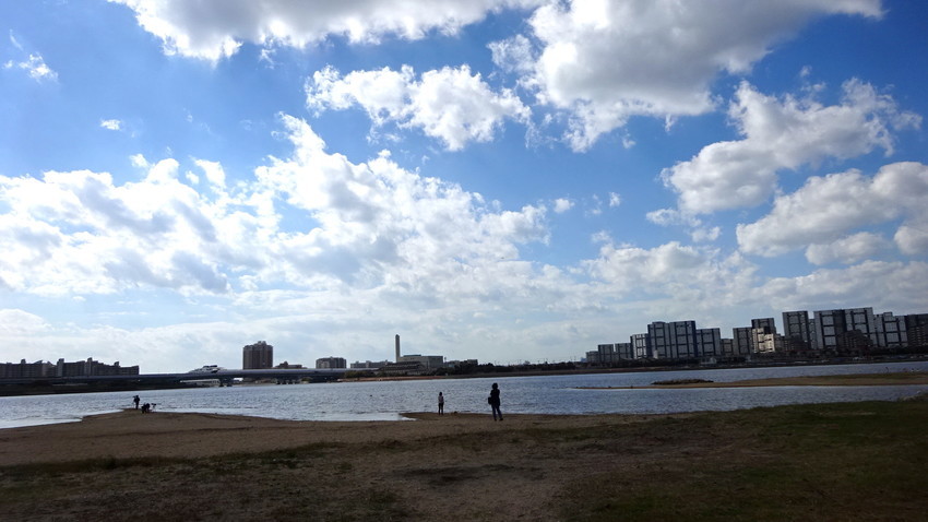 f:id:shioshiohida:20181030113135j:plain f:id:shioshiohida:20181030113135j:plain