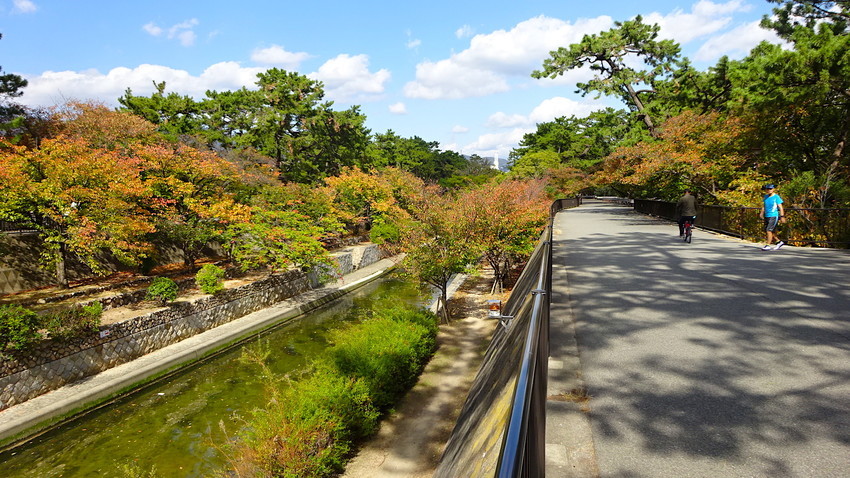 f:id:shioshiohida:20181030113626j:plain f:id:shioshiohida:20181030113626j:plain
