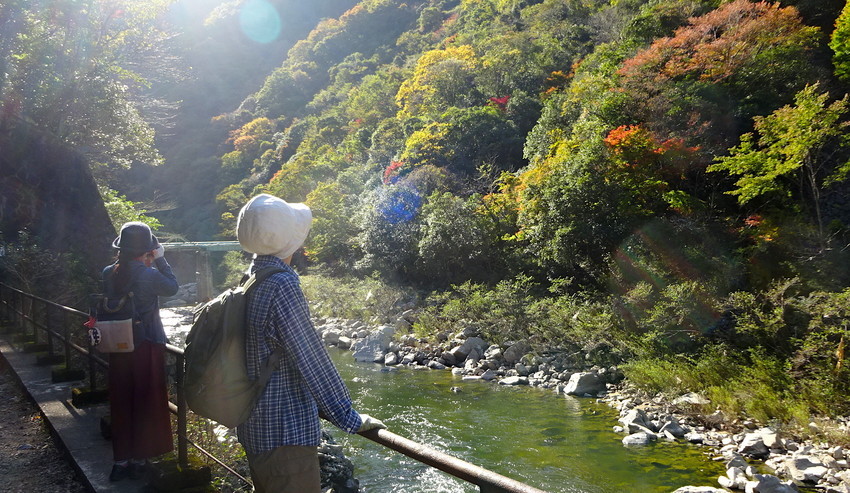 f:id:shioshiohida:20181110135046j:plain f:id:shioshiohida:20181110135046j:plain