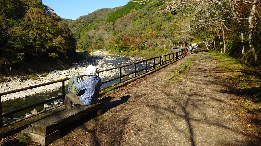 f:id:shioshiohida:20181110135338j:plain f:id:shioshiohida:20181110135338j:plain
