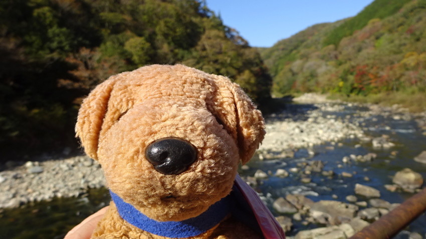 f:id:shioshiohida:20181110135732j:plain f:id:shioshiohida:20181110135732j:plain
