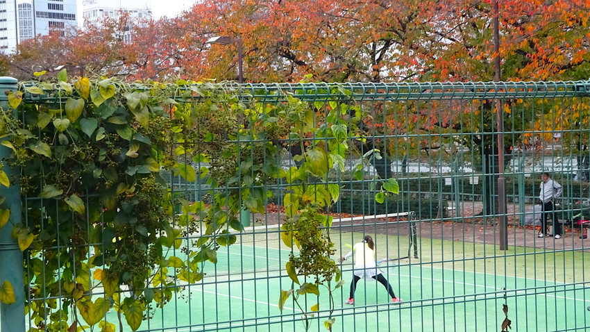 f:id:shioshiohida:20181114133235j:plain