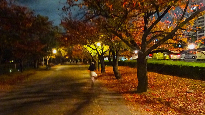 f:id:shioshiohida:20181114175622j:plain
