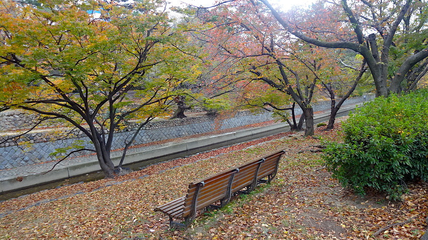 f:id:shioshiohida:20181119110513j:plain