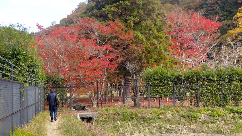 f:id:shioshiohida:20181120102748j:plain f:id:shioshiohida:20181120102748j:plain