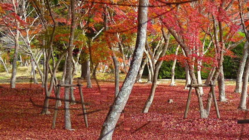 f:id:shioshiohida:20181120102852j:plain f:id:shioshiohida:20181120102852j:plain