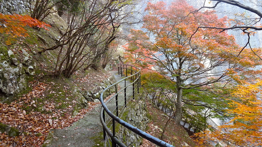 f:id:shioshiohida:20181120105530j:plain f:id:shioshiohida:20181120105530j:plain