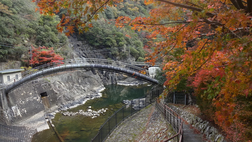 f:id:shioshiohida:20181120105607j:plain f:id:shioshiohida:20181120105607j:plain