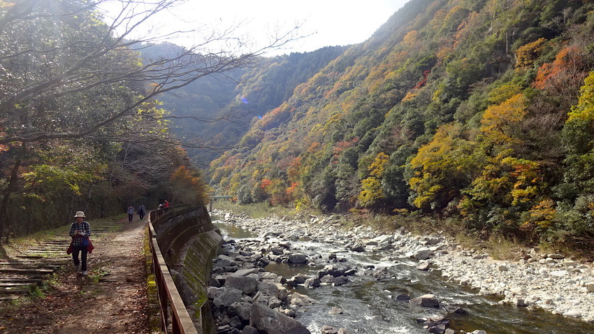 f:id:shioshiohida:20181120123446j:plain f:id:shioshiohida:20181120123446j:plain