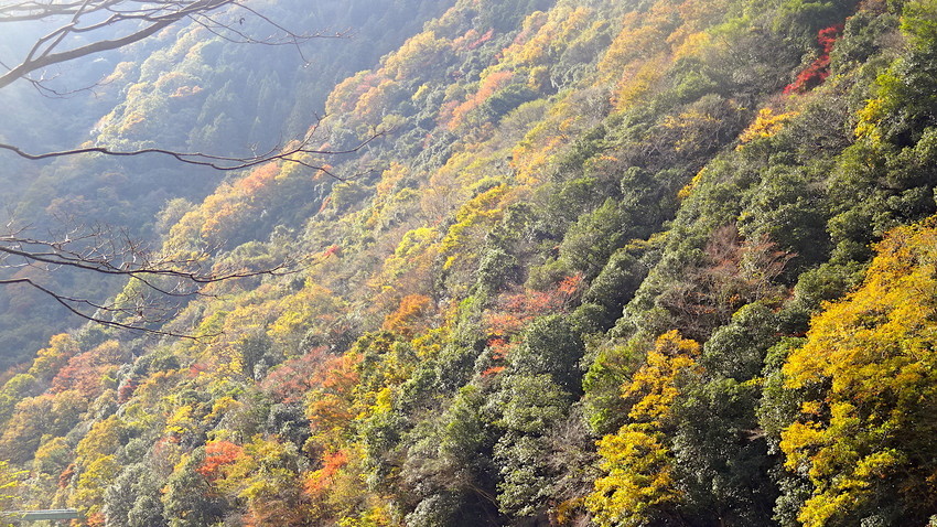f:id:shioshiohida:20181120124523j:plain f:id:shioshiohida:20181120124523j:plain