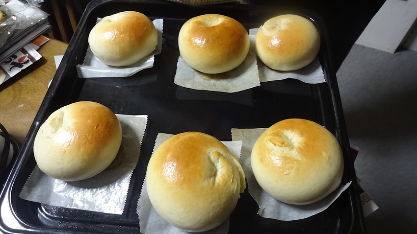 f:id:shioshiohida:20181121232617j:plain f:id:shioshiohida:20181121232617j:plain