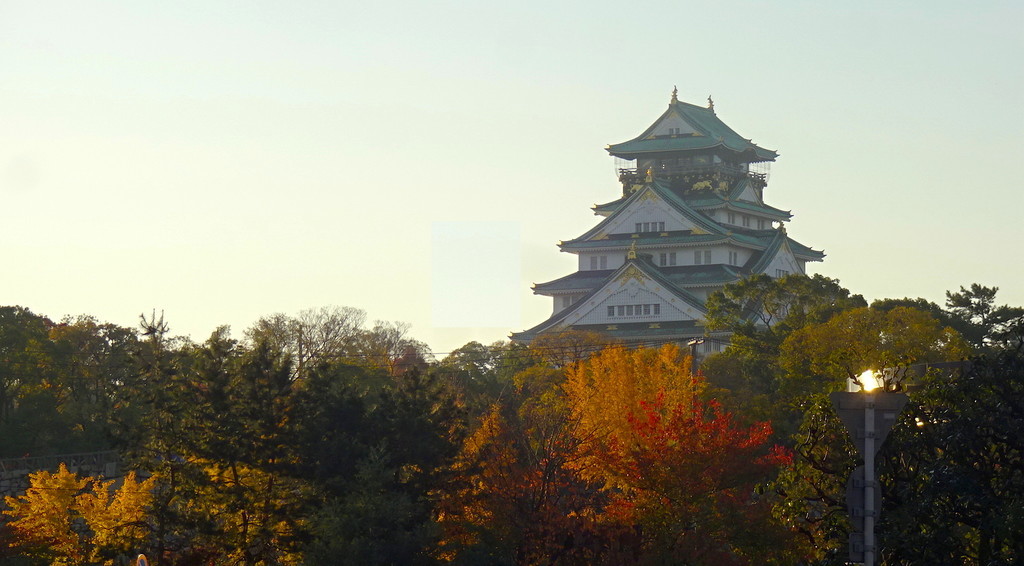 f:id:shioshiohida:20181125072848j:plain f:id:shioshiohida:20181125072848j:plain