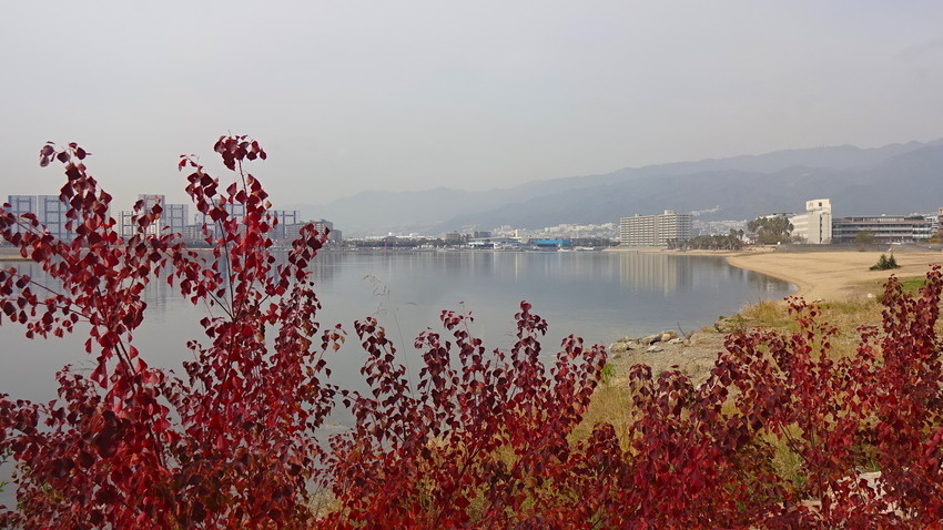 f:id:shioshiohida:20181126103731j:plain f:id:shioshiohida:20181126103731j:plain