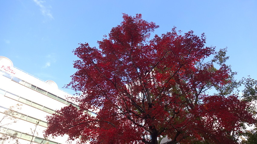 f:id:shioshiohida:20181129133527j:plain