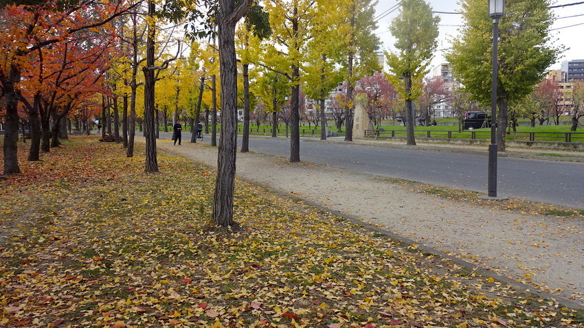 f:id:shioshiohida:20181129141718j:plain