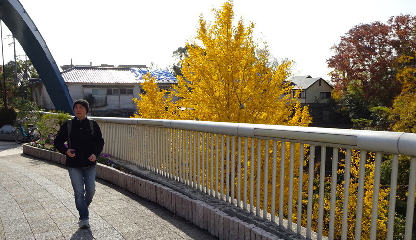 f:id:shioshiohida:20181130124731j:plain