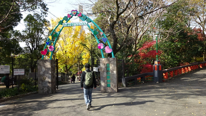 f:id:shioshiohida:20181130125907j:plain
