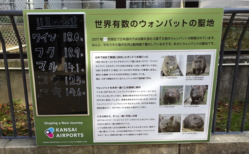 f:id:shioshiohida:20181130131032j:plain