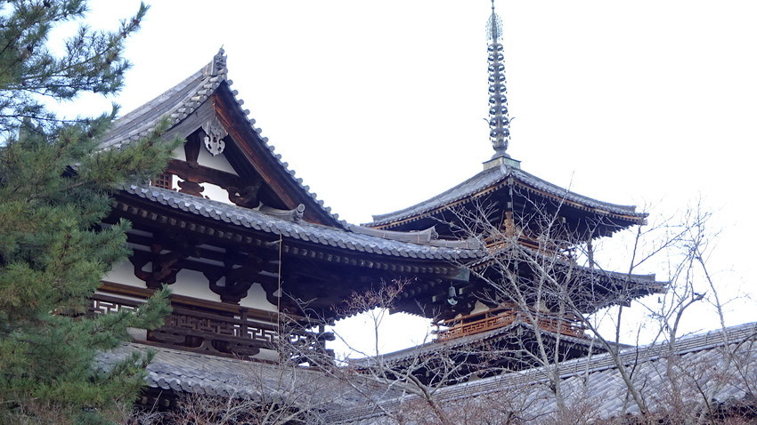 f:id:shioshiohida:20181229130141j:plain f:id:shioshiohida:20181229130141j:plain