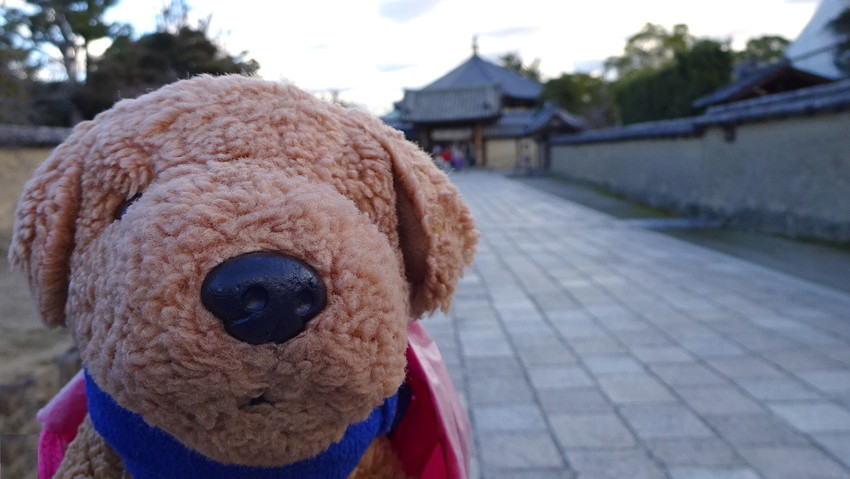 f:id:shioshiohida:20181229130957j:plain f:id:shioshiohida:20181229130957j:plain