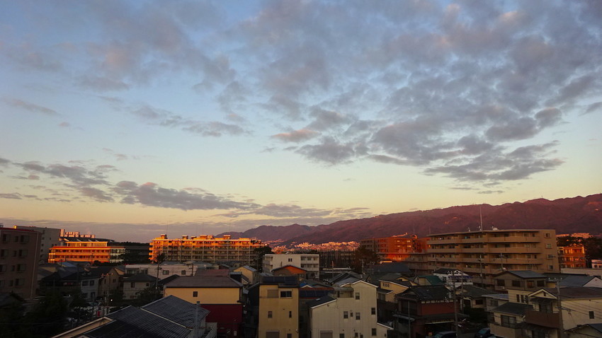 f:id:shioshiohida:20190101071620j:plain f:id:shioshiohida:20190101071620j:plain