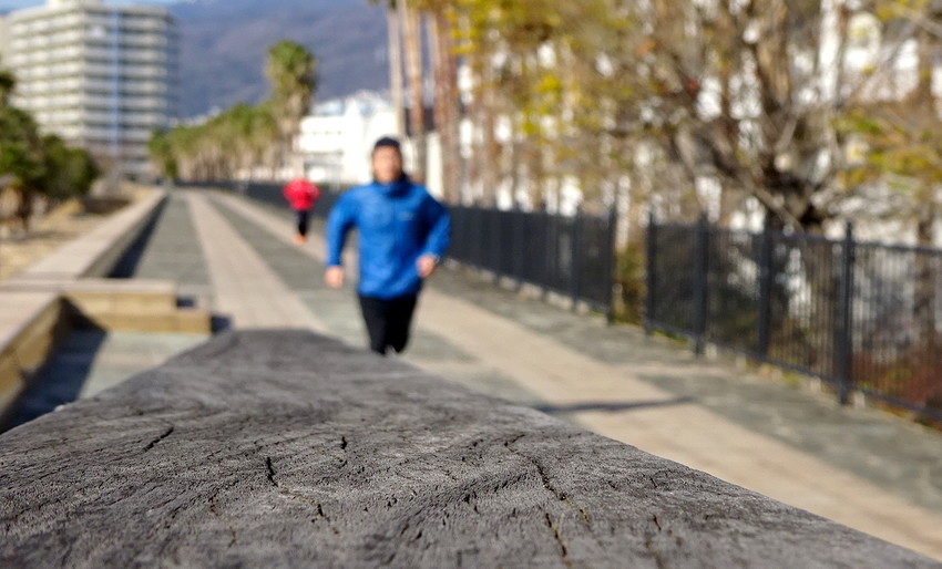 f:id:shioshiohida:20190101103613j:plain f:id:shioshiohida:20190101103613j:plain