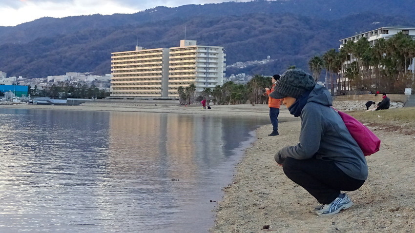f:id:shioshiohida:20190102164804j:plain