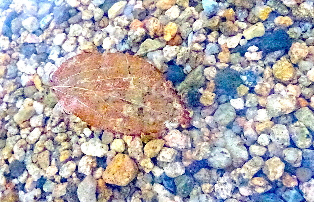 f:id:shioshiohida:20190102165128j:plain f:id:shioshiohida:20190102165128j:plain