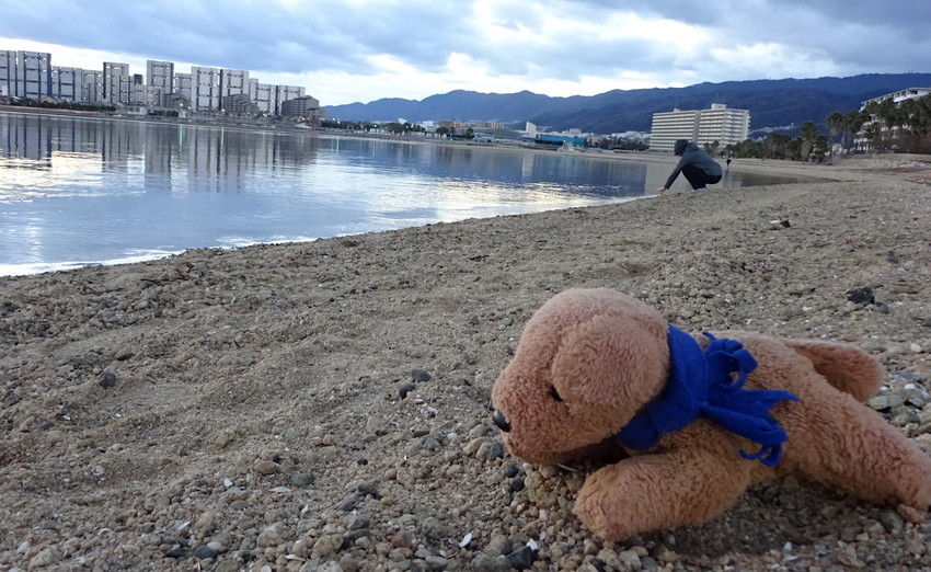 f:id:shioshiohida:20190102170059j:plain
