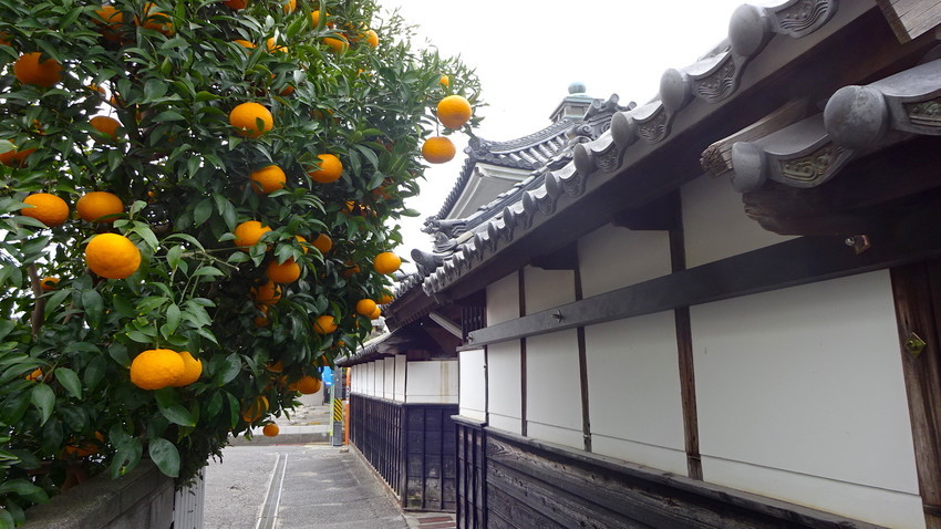 f:id:shioshiohida:20190106131050j:plain f:id:shioshiohida:20190106131050j:plain