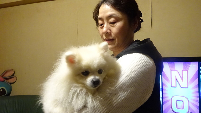 f:id:shioshiohida:20190106151712j:plain f:id:shioshiohida:20190106151712j:plain