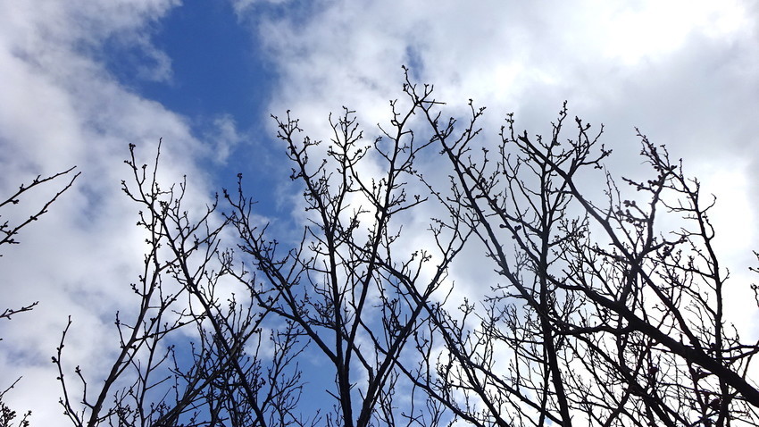 f:id:shioshiohida:20190107112231j:plain f:id:shioshiohida:20190107112231j:plain