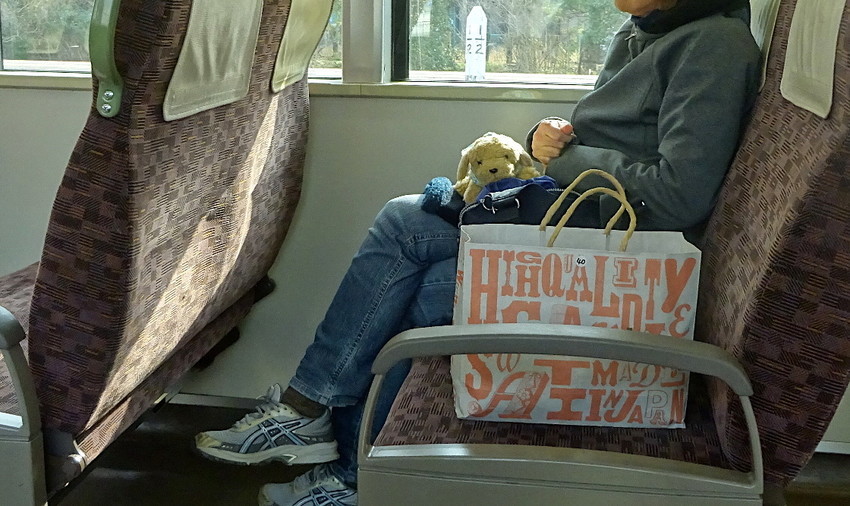 f:id:shioshiohida:20190108103624j:plain f:id:shioshiohida:20190108103624j:plain