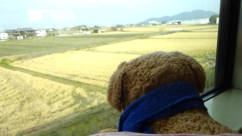 f:id:shioshiohida:20190108104421j:plain f:id:shioshiohida:20190108104421j:plain