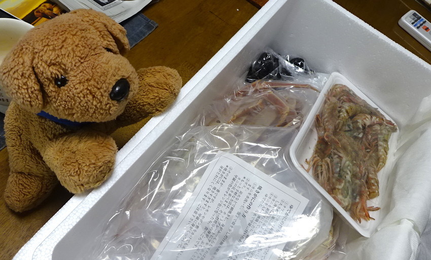 f:id:shioshiohida:20190113095914j:plain f:id:shioshiohida:20190113095914j:plain