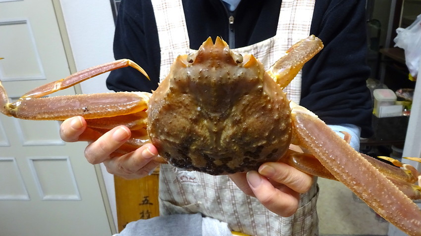 f:id:shioshiohida:20190113104330j:plain f:id:shioshiohida:20190113104330j:plain
