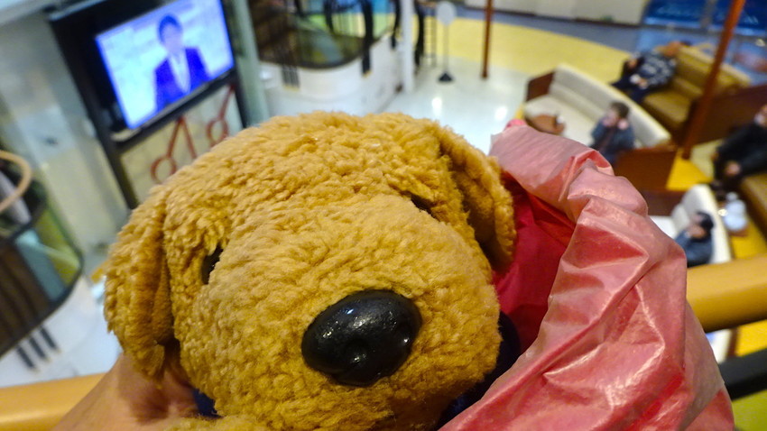 f:id:shioshiohida:20190126184746j:plain f:id:shioshiohida:20190126184746j:plain