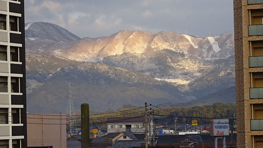 f:id:shioshiohida:20190127080419j:plain