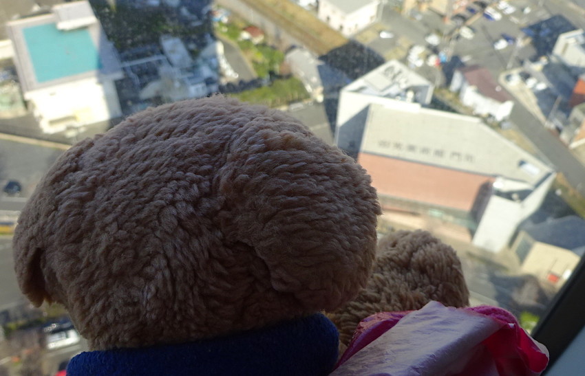 f:id:shioshiohida:20190127145004j:plain