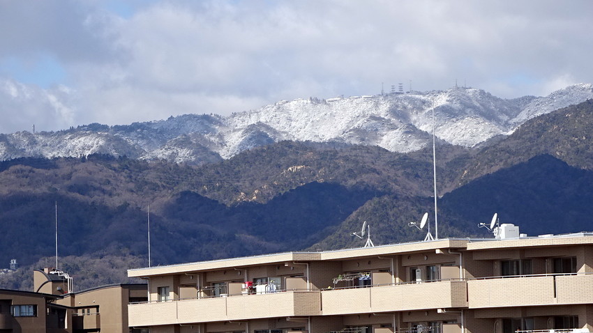 f:id:shioshiohida:20190201111802j:plain