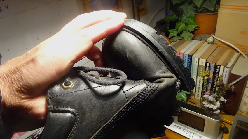 f:id:shioshiohida:20190204220532j:plain f:id:shioshiohida:20190204220532j:plain