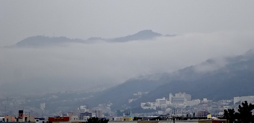 f:id:shioshiohida:20190206102945j:plain