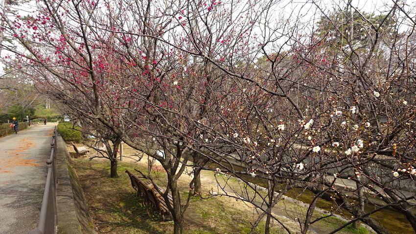 f:id:shioshiohida:20190207114051j:plain f:id:shioshiohida:20190207114051j:plain