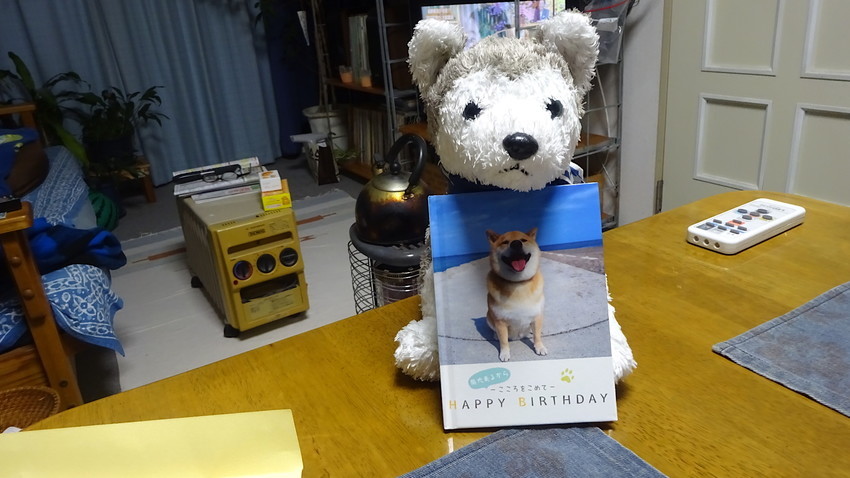 f:id:shioshiohida:20190214212320j:plain f:id:shioshiohida:20190214212320j:plain