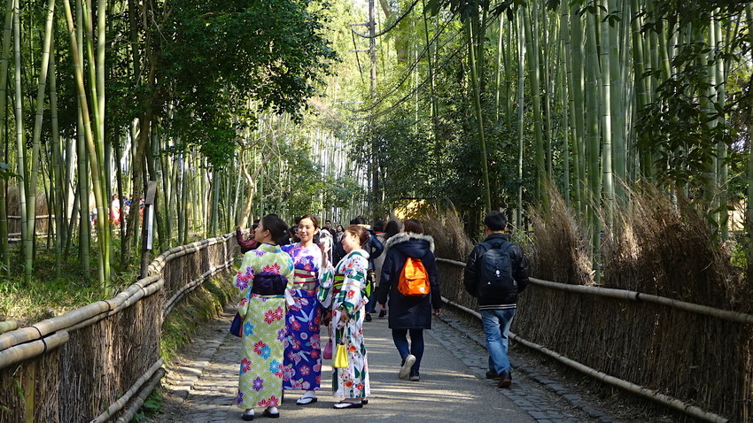 f:id:shioshiohida:20190216130751j:plain f:id:shioshiohida:20190216130751j:plain