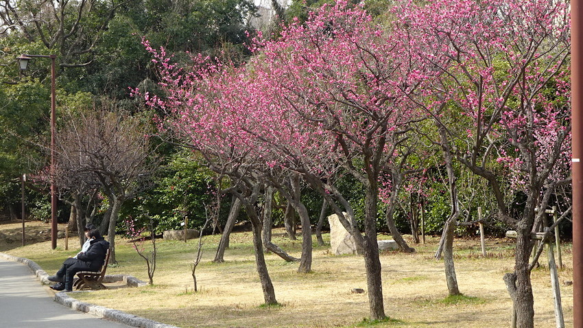f:id:shioshiohida:20190218114416j:plain f:id:shioshiohida:20190218114416j:plain