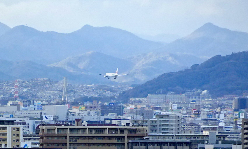 f:id:shioshiohida:20190311163113j:plain