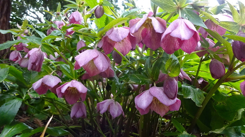 f:id:shioshiohida:20190312114135j:plain f:id:shioshiohida:20190312114135j:plain
